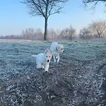 Lerka - 240 M2 Mazury Jeziora Lasy *