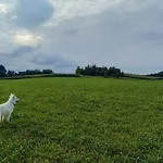 Nyaraló Lerka - 240 M2 Mazury Jeziora Lasy Lakorz