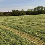 Lerka - 240 M2 Mazury Jeziora Lasy * Lakorz