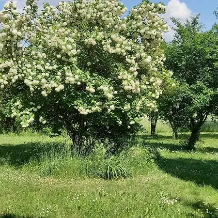 Lerka - 240 M2 Mazury Jeziora Lasy