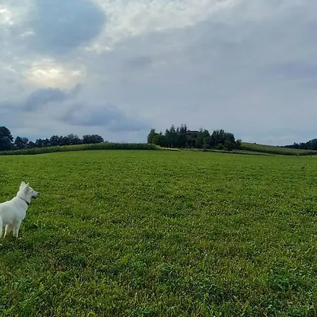 Сasa de vacaciones Lerka - 240 M2 Mazury Jeziora Lasy Lakorz