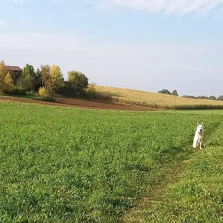 Lerka - 240 M2 Mazury Jeziora Lasy Сasa de vacaciones Lakorz