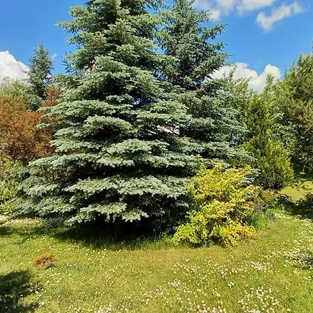 Lerka - 240 M2 Mazury Jeziora Lasy Lakorz
